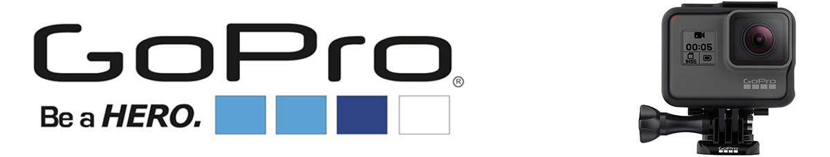 GoPro Hero + LCD